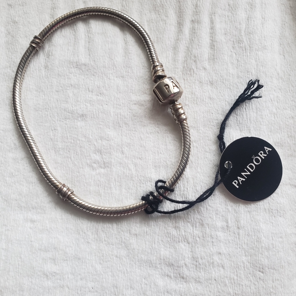 Pandora bracelet